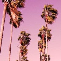 J vahn Beats