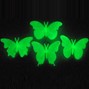 Yugi Beats - Butterfly