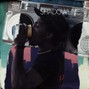kvstellv - Shadowline — Don Toliver x Travis Scott | 160 Fm