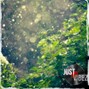 JustVIBEZ - Summer Rain