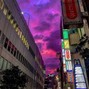 VIRGO - AMETHYST