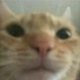 binky - midi 4 sent me