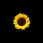 Sir Soul - piece of my (instrumental) ($5)