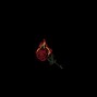 droppeddead - rose