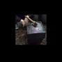 droppeddead - in TV