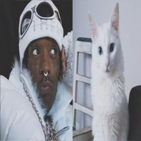 numblysavage