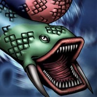 7 Colour Fish