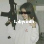 Barking Lot - Labyrinth Yelawolf x Caskey Type Beat