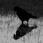 Yami's Sin - sad acoustic guitar type beat - "save me"