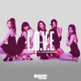 KEI-JIN BEATS - NewJeans x IU x LE SSERAFIM Type Beat | L.O.V.E - Kpop x R&B Type Beat