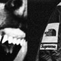 DEADEYES - NorFace