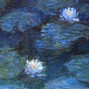 phyllis - Lily