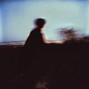phyllis - Forever New