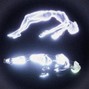 phyllis - Ascension 