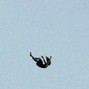 phyllis - Free Fall