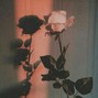 phyllis - Two Hearts