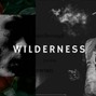SNSTR - Wilderness