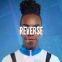 SNSTR - Reverse