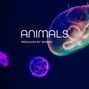 Whimsy - Animals