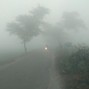 limbuz - fog