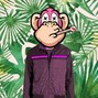 Apephlu - Gucci