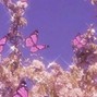juasking - Melodic Synthetic Trap Beat - "Sweet" (By JUASKING)