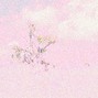 curse/gift - Honest