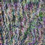 curse/gift - Telesthesia
