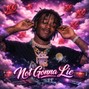 Ayu$h - not gonna lie 100 emin