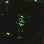 Demencha - Down
