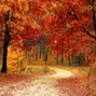 Waypoint_Rec - Autumn