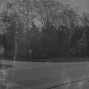 graydawn - still