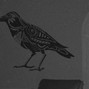 graydawn - Bones X Greaf type beat - "on both sides"