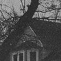 graydawn - wrong way
