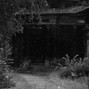 graydawn - rotten