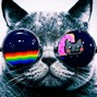 1cey - nyan