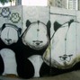 1cey - clone