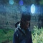 prodyz - forest