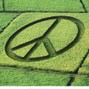 Jowisen - grass - 140bpm  @1jowisen @praizewa