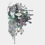 Jowisen - web [151c min] @1jowisen