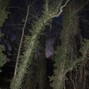 californiasober - cloud rap + shoegaze + ambient type beat