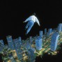 donebybolt - Take Off - 79bpm (DoneByBolt)