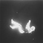 marlonsdead - Data