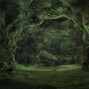 flesh - spider nest cavern (flesh x warheart)