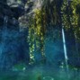 flesh - qinkaishi falls (flesh x taurs)
