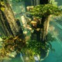 flesh - mori village