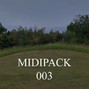 flesh - MIDIPACK 003
