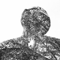 shoproductionz
