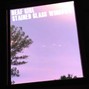 Deaf Girl - Stained Glass Windows