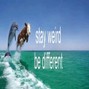 Suavethedon - Oodaredevil x Mingo Surfswagg type beat - 21325 128 bpm (prod.suavethedon) - 2026